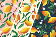 Fruit Patterns VECTOR, a Pattern Graphic by Blue Lela Design (Thumbnail 3 of 6)
