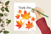 Watercolor Autumn Flower Pumpkin Png, an Illustration by Creative Art (Thumbnail 4 of 7)