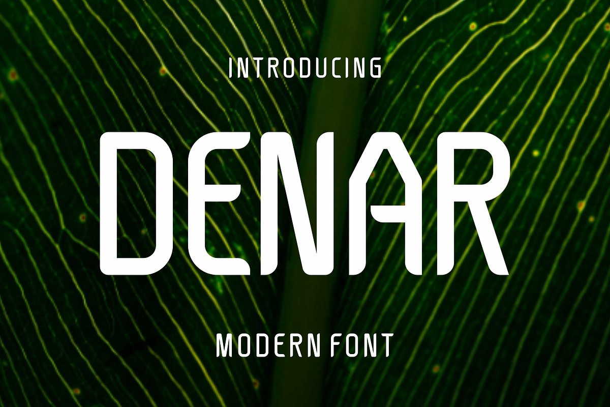 Degus - Modern Sans Serif Font, a Sans Serif Font by lelevien (Photo 1 of 4)