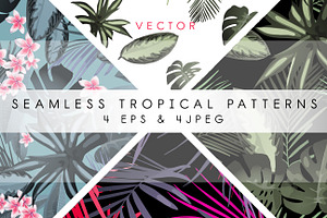 Tropical Patterns & Set VECTOR 2