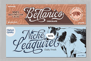Greybridge - Classic Calligraphy, a Script Font by Letterhend Studio (Thumbnail 4 of 10)