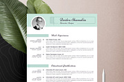 Resume Cv Template Word Apple Pages, a Resume Template by Tbunny (Thumbnail 6 of 6)
