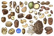 Hard nut graphic design set, a Food Illustration by handsketched (Thumbnail 2 of 18)