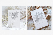 “Charm” Tropical Leaves Lineart, an Illustration by Sense Library (Thumbnail 18 of 23)