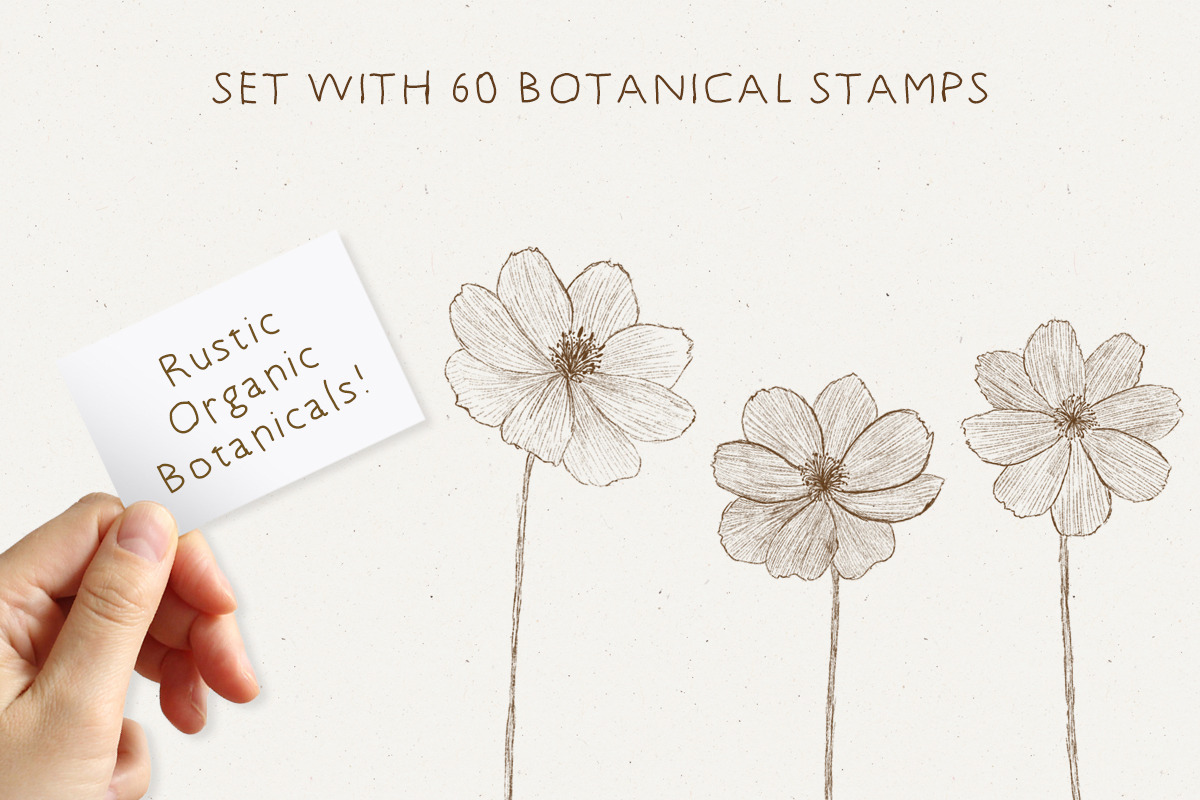 The Procreate Botanical Box, a Brush Add-On by Just Bia (Photo 2 of 15)