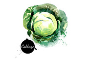 20 Watercolor Vegetables Vector, a Food Illustration by Elena Pimonova (Thumbnail 2 of 5)