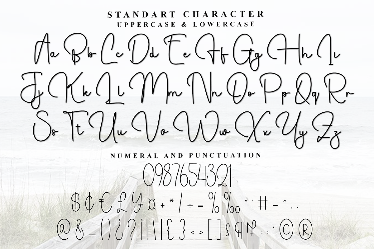 Silky White, a Handwritten Font by FreshTypeINK (Photo 7 of 8)
