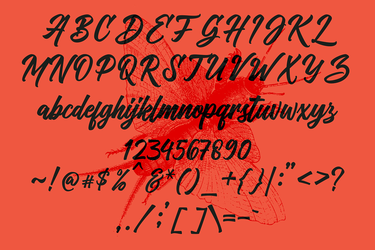 Vriegbe - Bold Script Logotype, a Script Font by tebaltipislab (Photo 9 of 13)