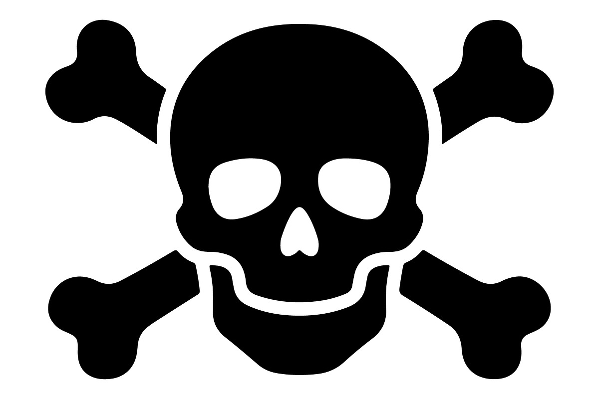 Pirate Skull Vector Icon, an Object Graphic by Gfx_Store (Photo 7 of 14)