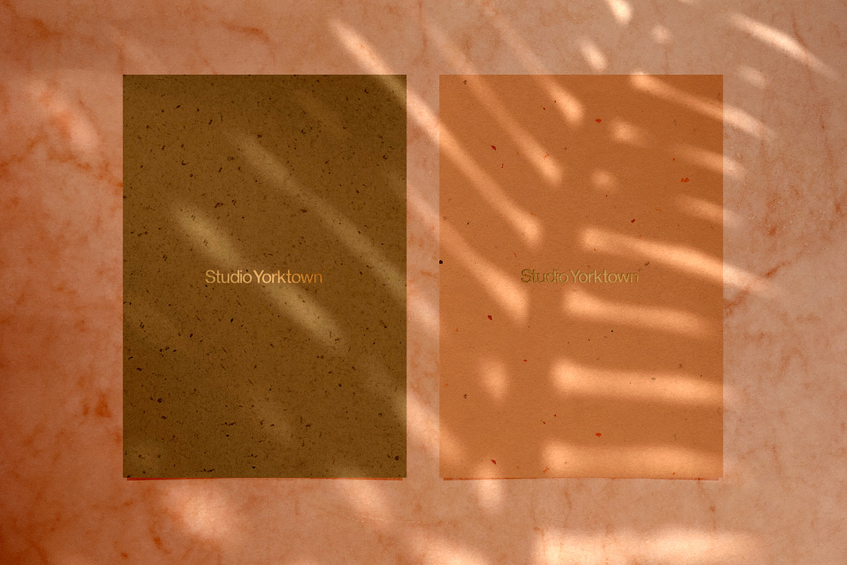 Madara - Botanical Shadow Overlays, a Texture Graphic by Studio Yorktown (Photo 13 of 17)