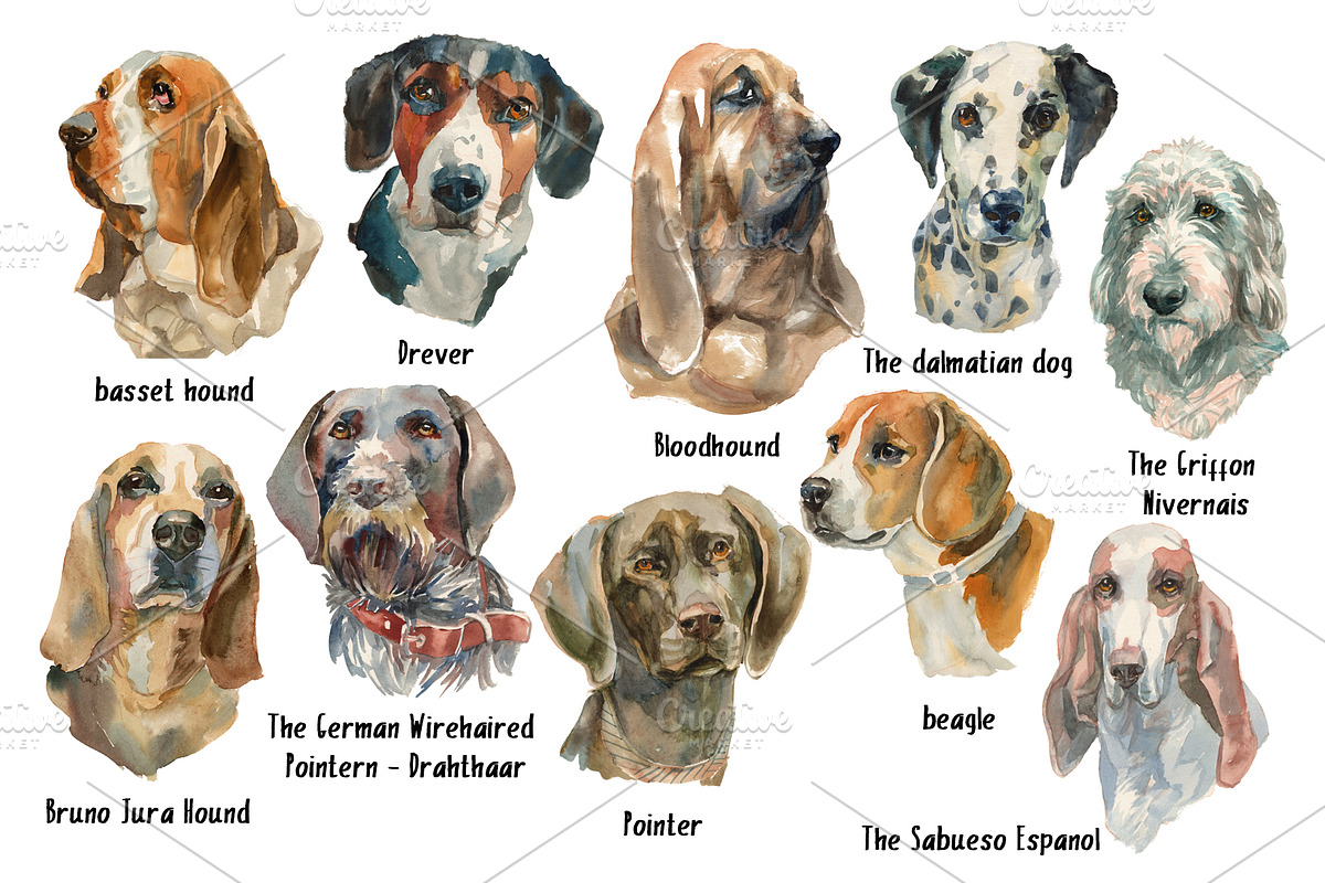 Sherlock dogs Watercolor set, an Animal Illustration by Malena (Photo 2 of 6)