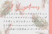 Chelsea Queen || Elegant Signature, a Script Font by D&K Project (Thumbnail 6 of 18)