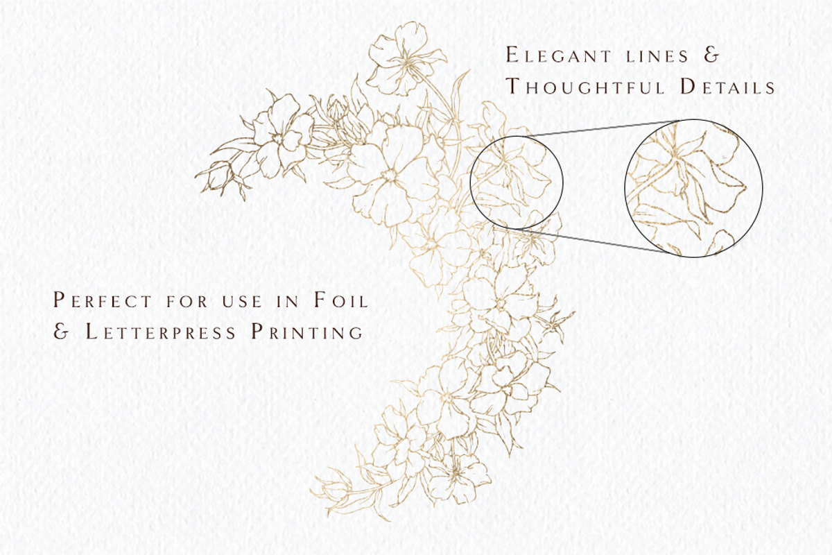 Illustrated Floral for Wedding Logo, an Illustration by Blushed Design by Katrina (Photo 3 of 4)