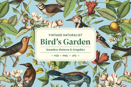 Bird's Garden - Vintage Pattern, a Pattern Graphic by Graphic Goods