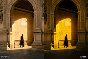 AI-Optimized Street Lightroom Preset, a Preset Add-On by AAA Presets (Thumbnail 9 of 26)