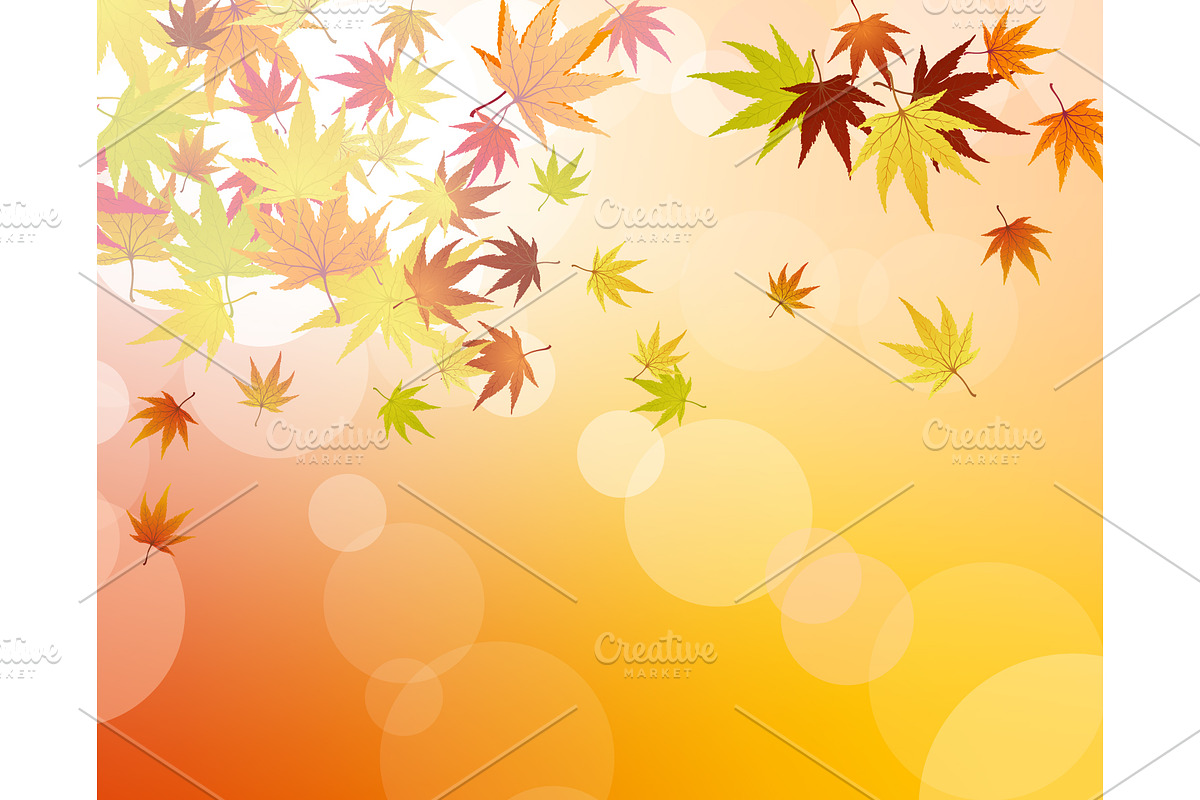 Autumn Leaves Border Set, a Decorative Illustration by Pavel Vectors (Photo 7 of 8)