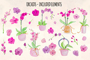 27 Pretty Watercolor Orchid Flowers, an Illustration by Violet LeBeaux (Thumbnail 2 of 3)