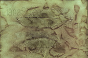 36 ECO Dyed paper - Forest Floor, a Texture Graphic by LianaScrap (Thumbnail 6 of 19)