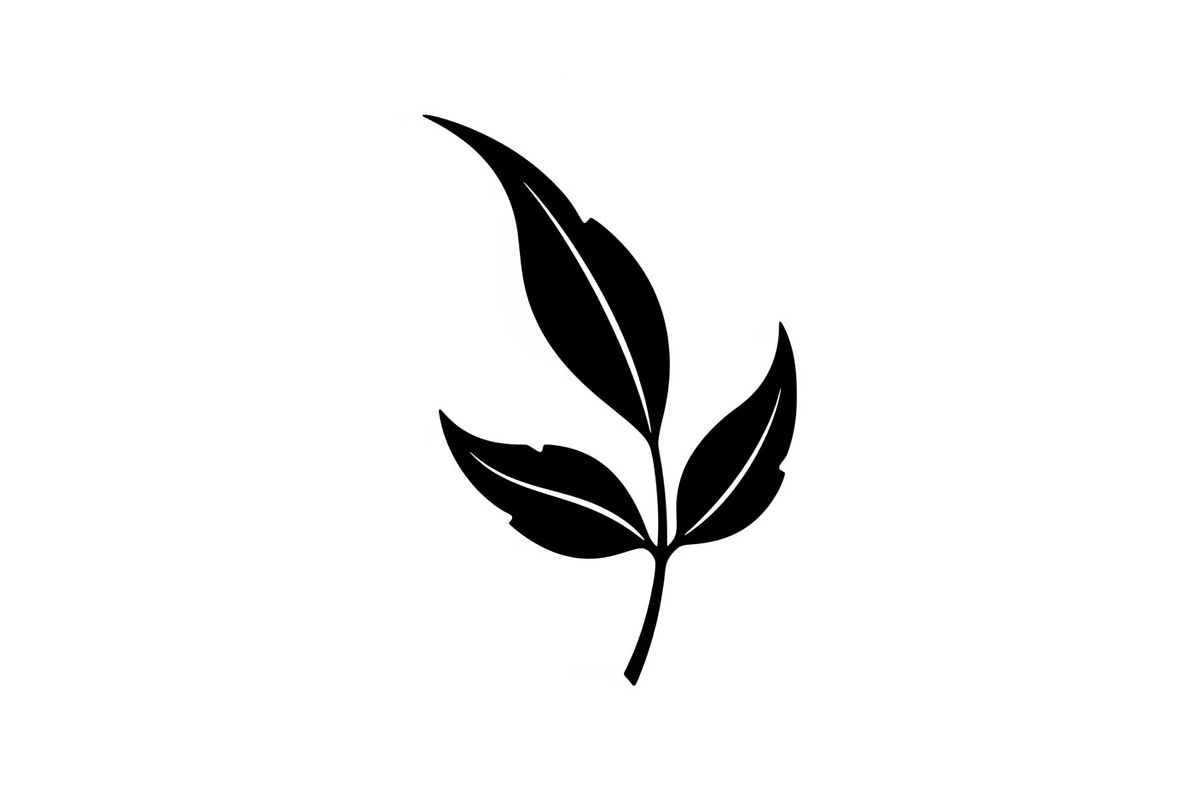 Hand Drawn Leaf Line Art Bundle, an Illustration by hafijul (Photo 31 of 51)