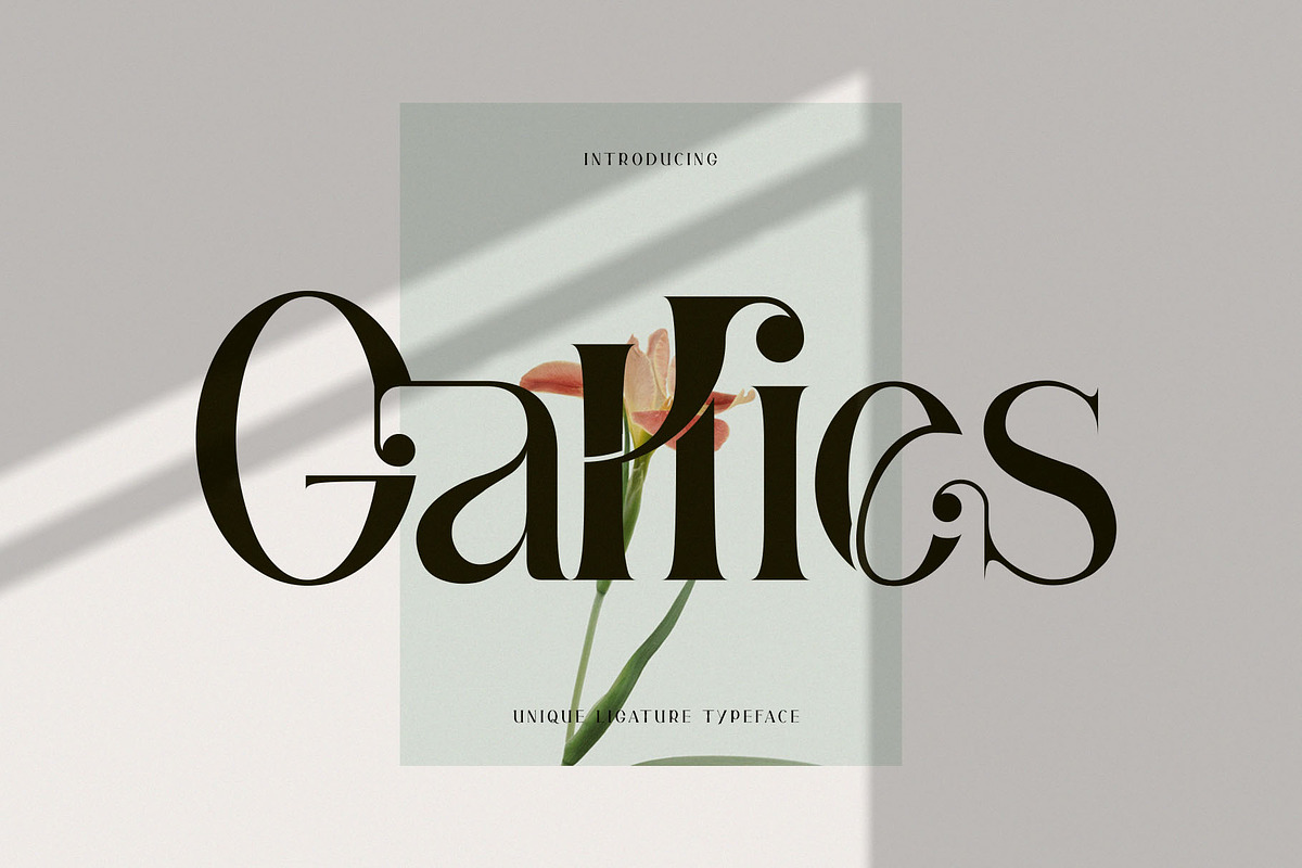 Gallies Ligature Serif Typeface, a Serif Font by Humaira_std (Photo 1 of 9)