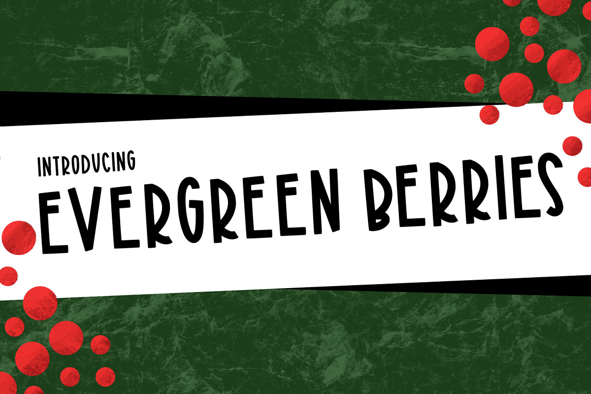 Evergreen Berries, a Sans Serif Font by Kitaleigh (Photo 1 of 3)