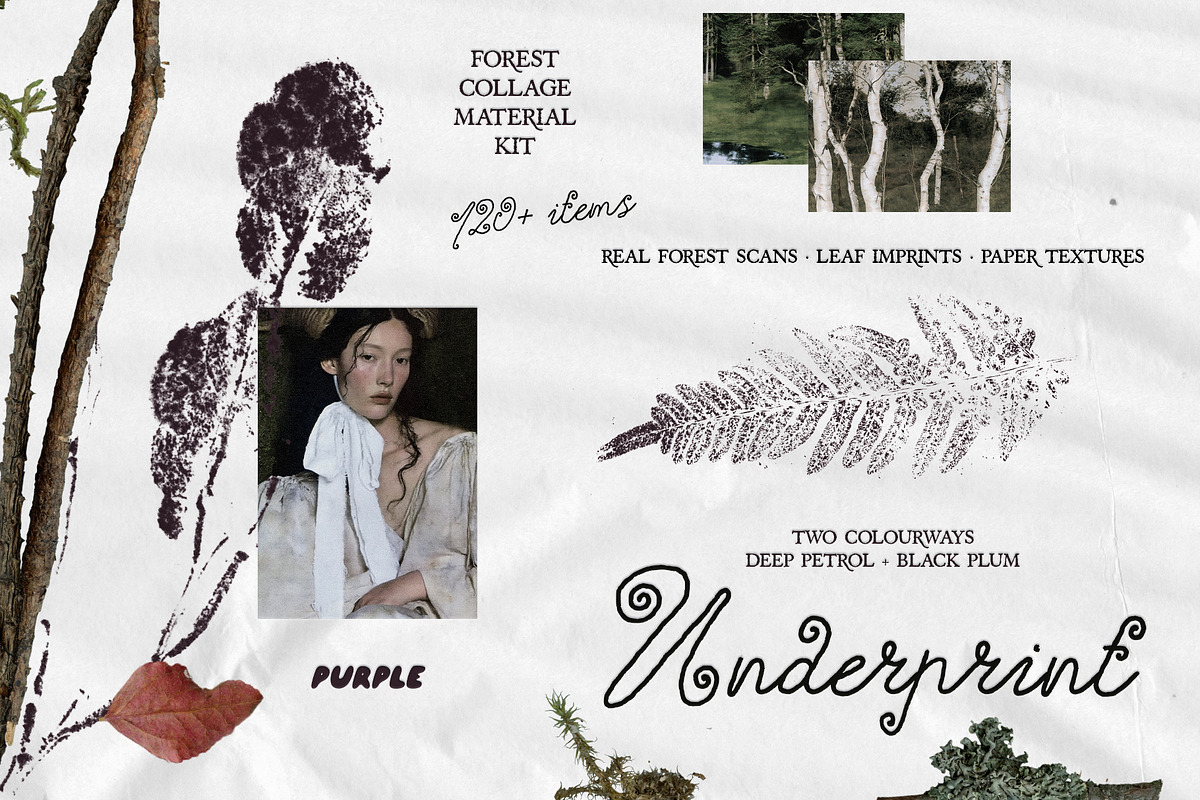 Leaf Imprints, Forest Scans & Paper, an Object Graphic by Purple (Photo 1 of 20)