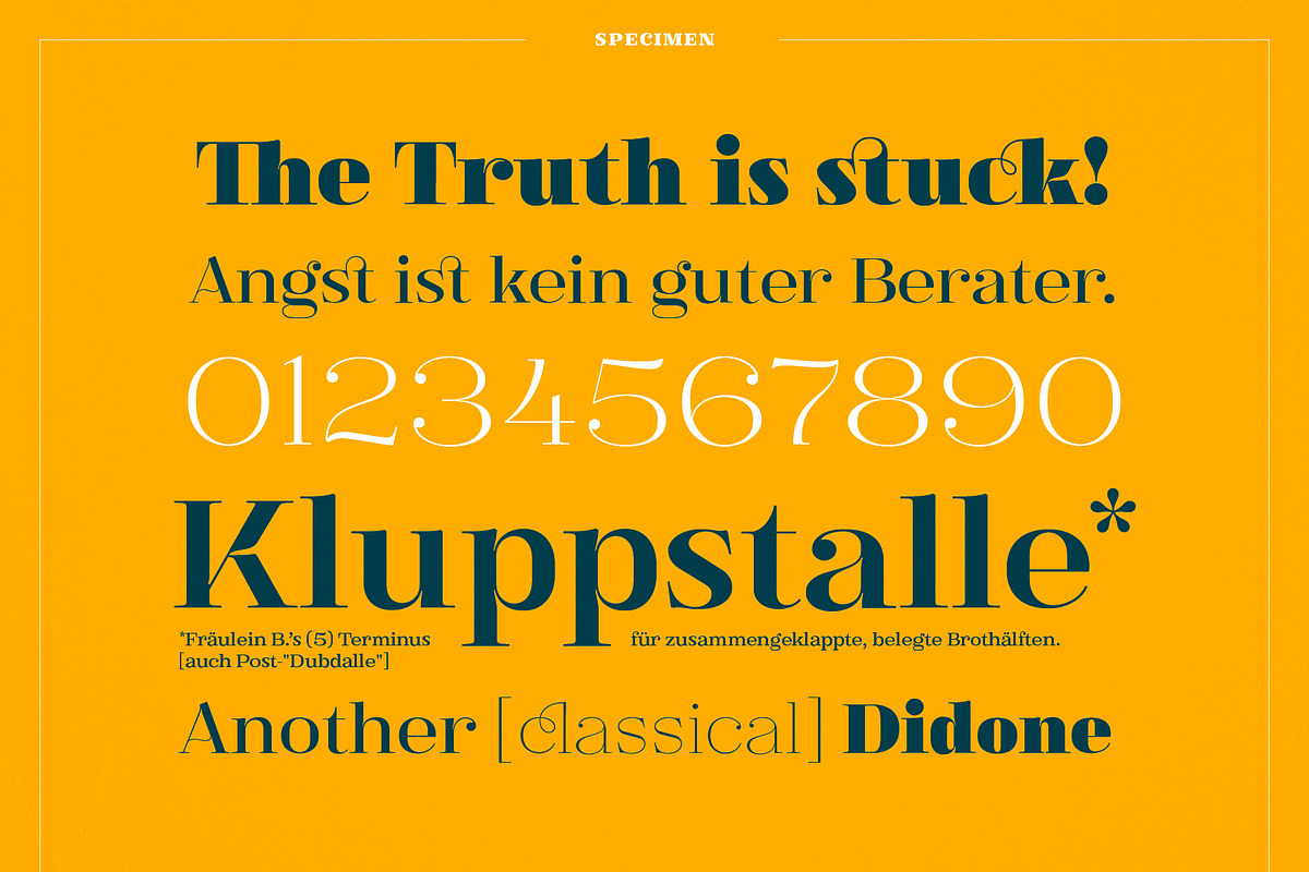XXII Elissa, a Serif Font by Doubletwo Studios (Photo 11 of 25)