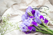 Purple Iris Styled Stock Collection, a Photo by Chalking Up Stock (Thumbnail 2 of 19)