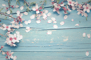 Background with almond flowers
