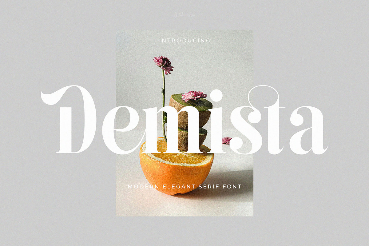 Demista - Modern Elegant Serif Font, a Serif Font by TypeLogue (Photo 1 of 5)