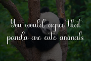 Hello Panda, a Handwritten Font by FreshTypeINK (Thumbnail 5 of 8)