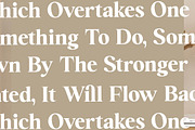 Brilyan Rogale Modern Vintage Serif, a Serif Font by Letterena Studios (Thumbnail 8 of 15)