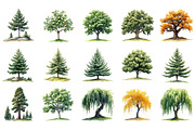 Watercolor Forest Trees Clipart, an Illustration by Designking (Thumbnail 3 of 5)