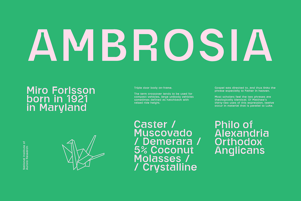 Jabogram Font, a Sans Serif Font by baqoos (Photo 6 of 9)