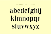 Bavex Pro Font, a Serif Font by FG Studios (Thumbnail 2 of 3)