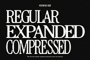 Forthword Signature & Serif, a Serif Font by The Branded Quotes (Thumbnail 10 of 11)