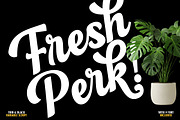 Flonday Script, a Script Font by Madjack.font (Thumbnail 4 of 14)