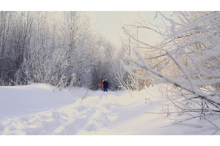 People on a forest ski walk, concept, a Sports & Recreation Photo by Media Whale Stock