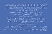 Highest Bluebell Natural Handwritten, a Script Font by stylishtype.co (Thumbnail 18 of 20)