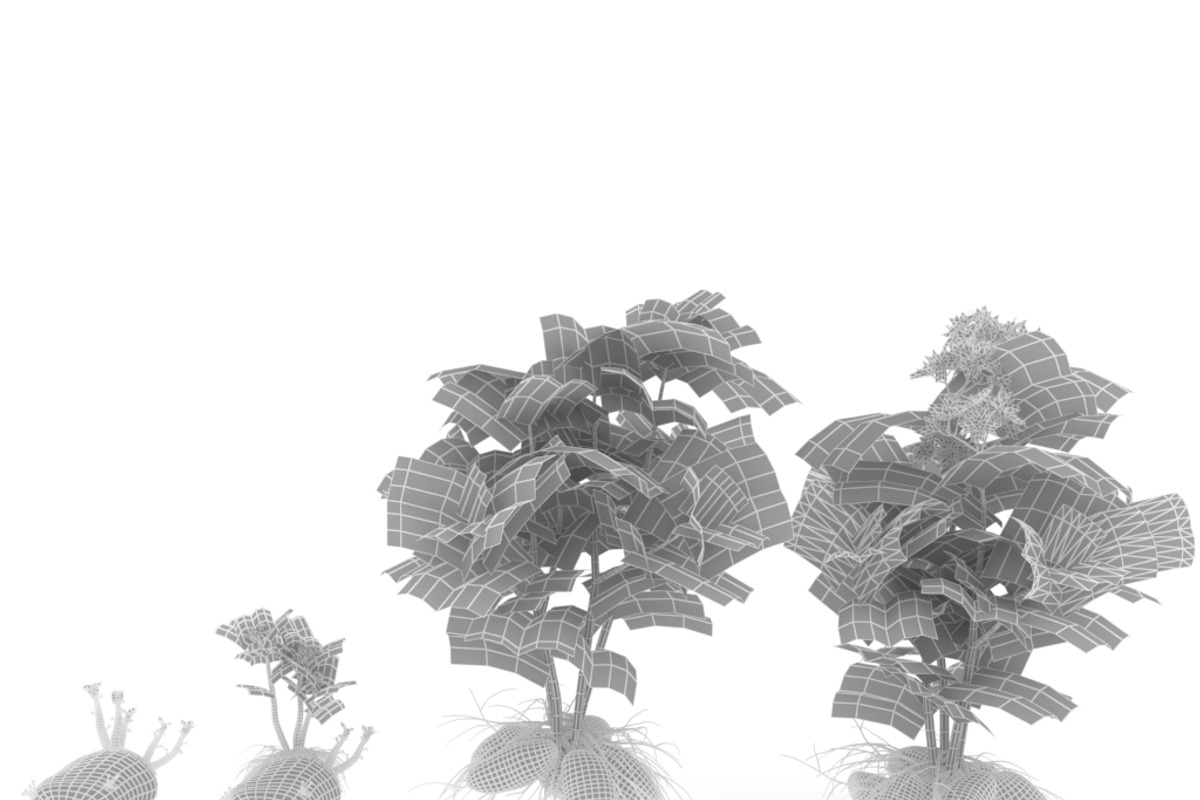 Potato tuber set, an Environmental 3D Model by AndrewWhite (Photo 3 of 7)