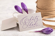 Betany Katepia Beauty Calligraphy, a Script Font by stylishtype.co (Thumbnail 5 of 20)