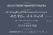 Bettani Sellia - Calligraphic Font, a Script Font by NTC Graphic (Thumbnail 8 of 9)