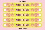 TAN - BRISTOL AVENUE, a Font by TanType (Thumbnail 4 of 9)
