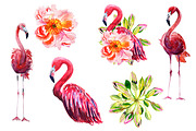 Watercolor Flamingo Set, an Animal Illustration by lilisavelieva (Thumbnail 2 of 2)