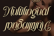 Grache Hustle - Aesthetic Serif, a Serif Font by Font Liner (Thumbnail 12 of 12)