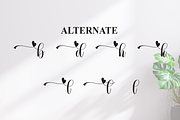 Bilateral | Script Font, a Handwritten Font by Scratchones (Thumbnail 8 of 9)