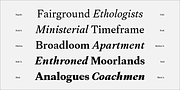 Frasa, a Serif Font by Tokotype (Thumbnail 9 of 12)
