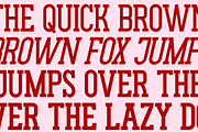 Gluttoner Vintage & Bold Slab Serif, a Serif Font by Lettertype Studio (Thumbnail 9 of 15)