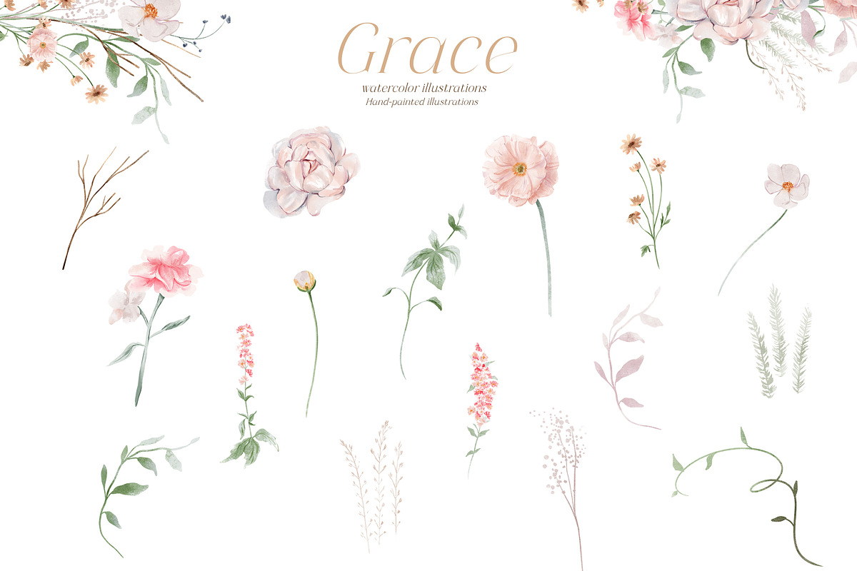 Wild floral illustrations - Grace, an Illustration by TheHappyGiftArt (Photo 3 of 10)