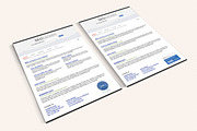 Flyer SEO and Digital Marketing, a Flyer Template by Sargatal (Thumbnail 1 of 5)